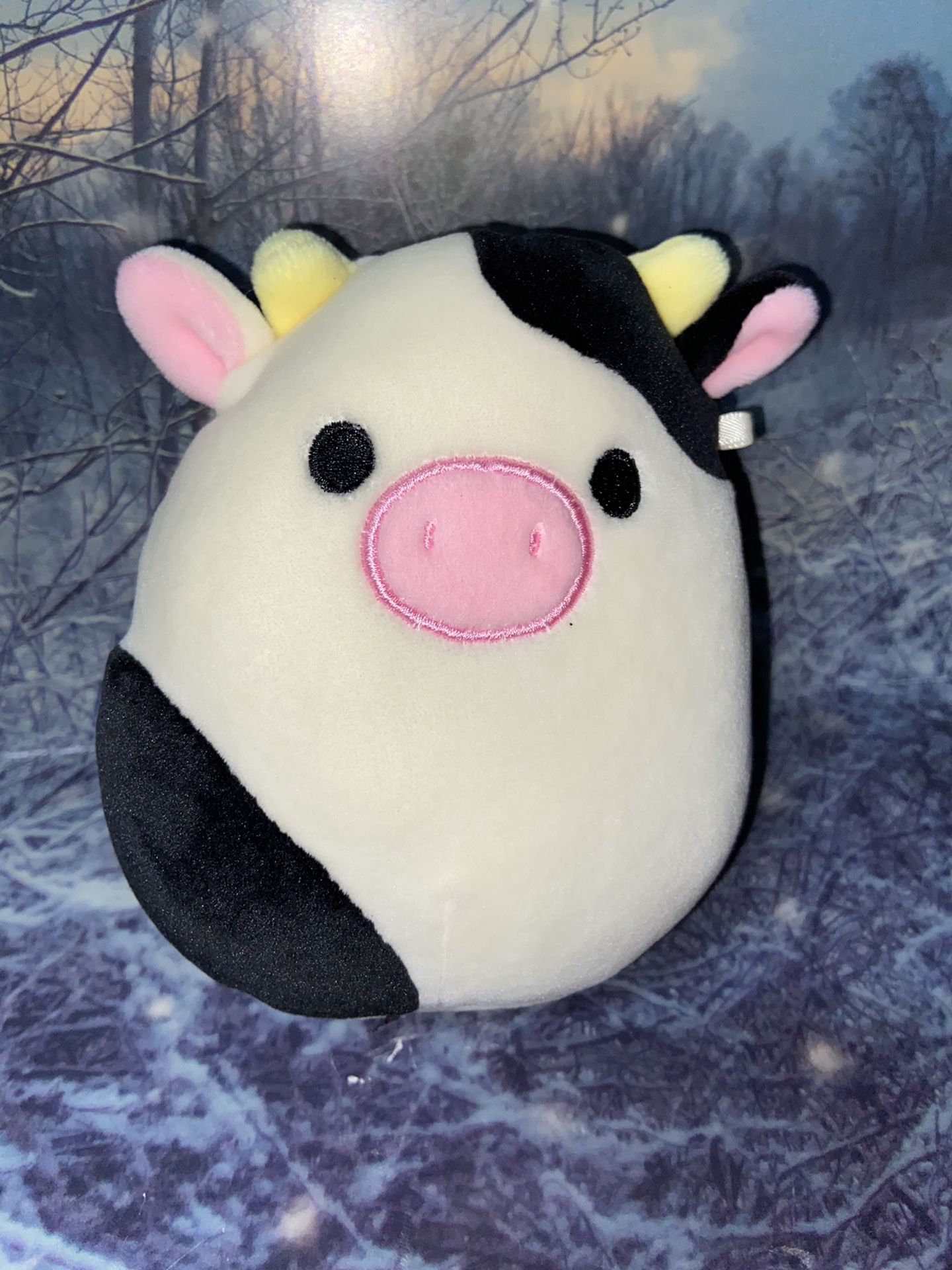 Rare Squishmallow 7" Connor the Cow.