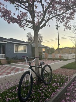 Throne 29er