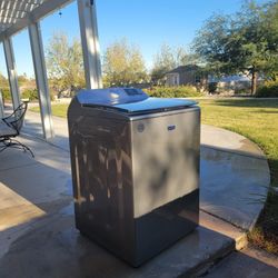 ****FREE FREE FREE FREE***