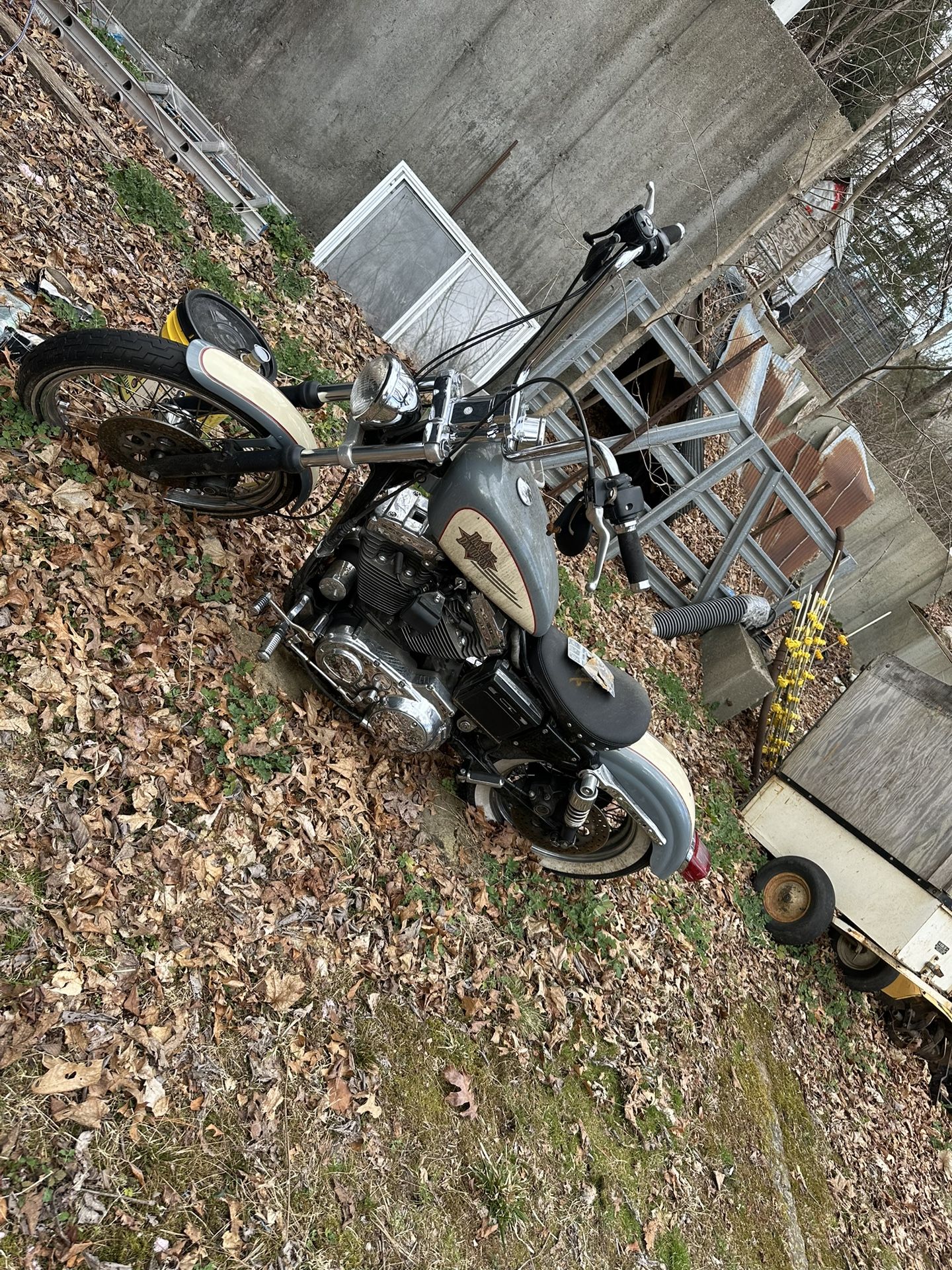 97 Harley Davidson Sportster