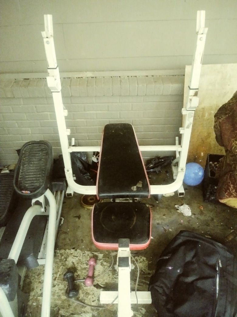 Weight Bench