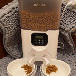 Automatic Food Dispenser 