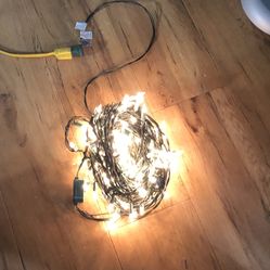 White holiday string lights w/ different designs