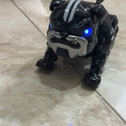 Remote Dog Toy