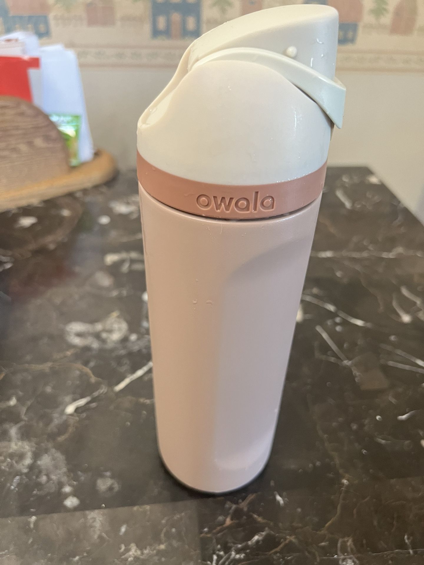 Brand New Brown Sugar Owala Special Edition