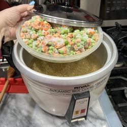 6 Cup Rice cooker