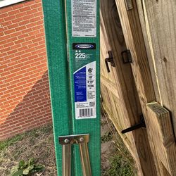 Werner Green Fiberglass 6ft Ladder