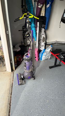 Dyson animal 2