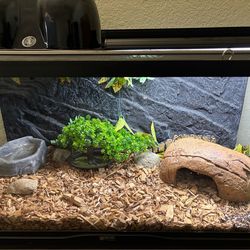Ball python enclosure