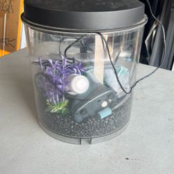 Fish Tank 