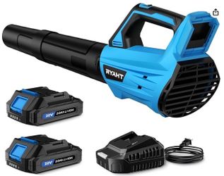 Leaf Blower Cordless, Leaf Blower with Battery and Charger - 2 Speed Modes, 2 Batteries, 20V Powerful Lightweight Electric Blowers for Blowing Leaves,