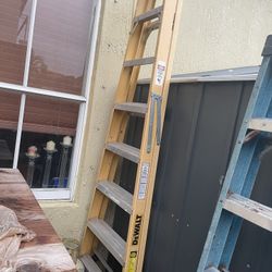 Dewalt Ladder 