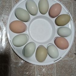 Fertile Barnyard Mix Eggs