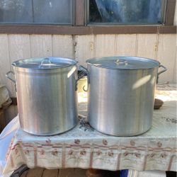 Tamale Pot