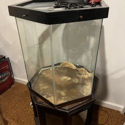 FREE As Of Jan 26 2026  Reptile Cage and accessories 