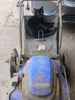 Electric Mower