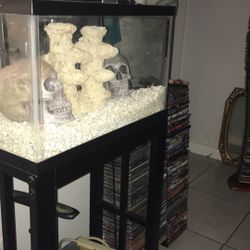 10 gallon aquarium