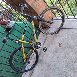 Mens giant mountain bike