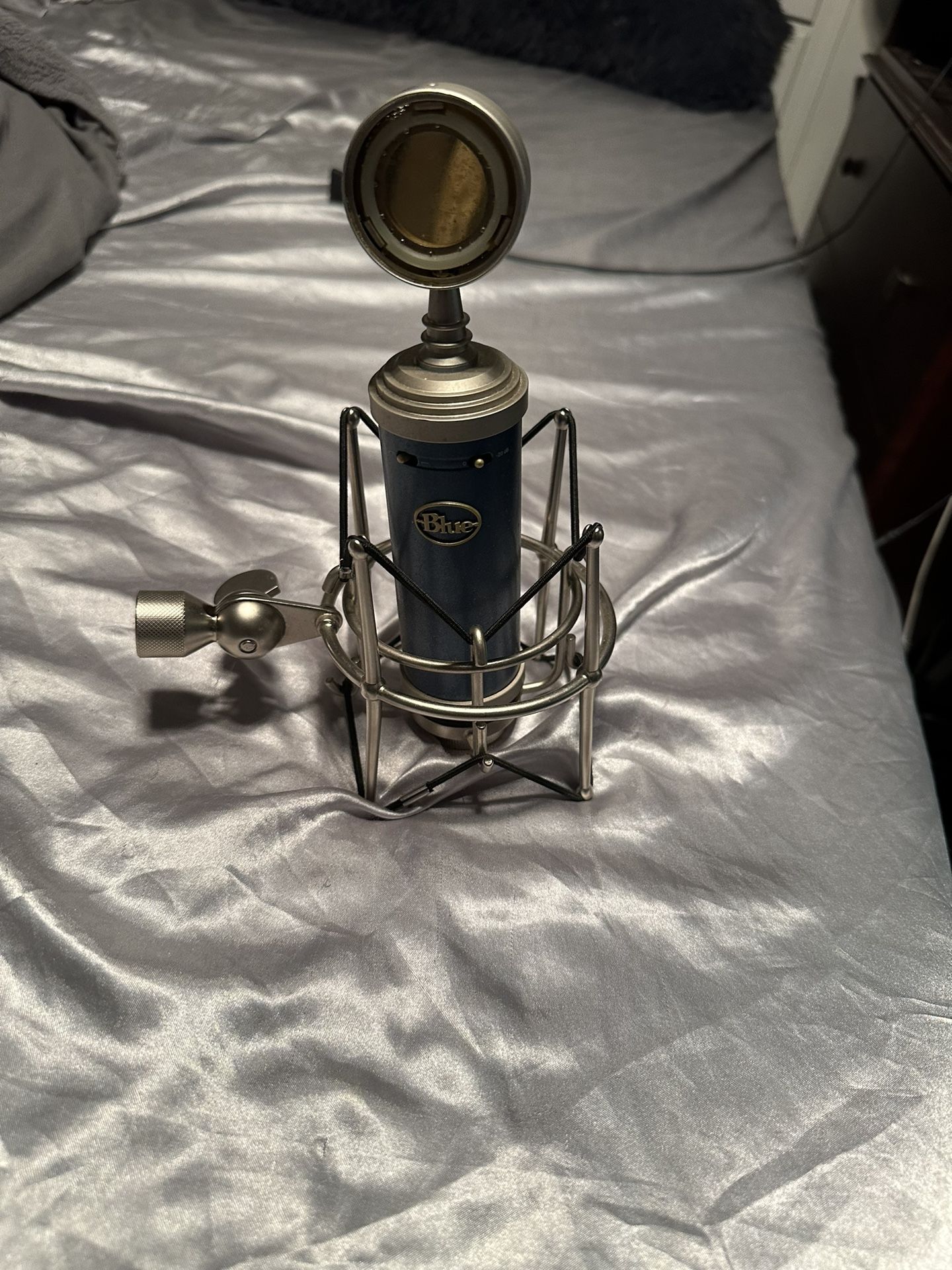 Condenser Microphone (Blue Bluebird XLR)