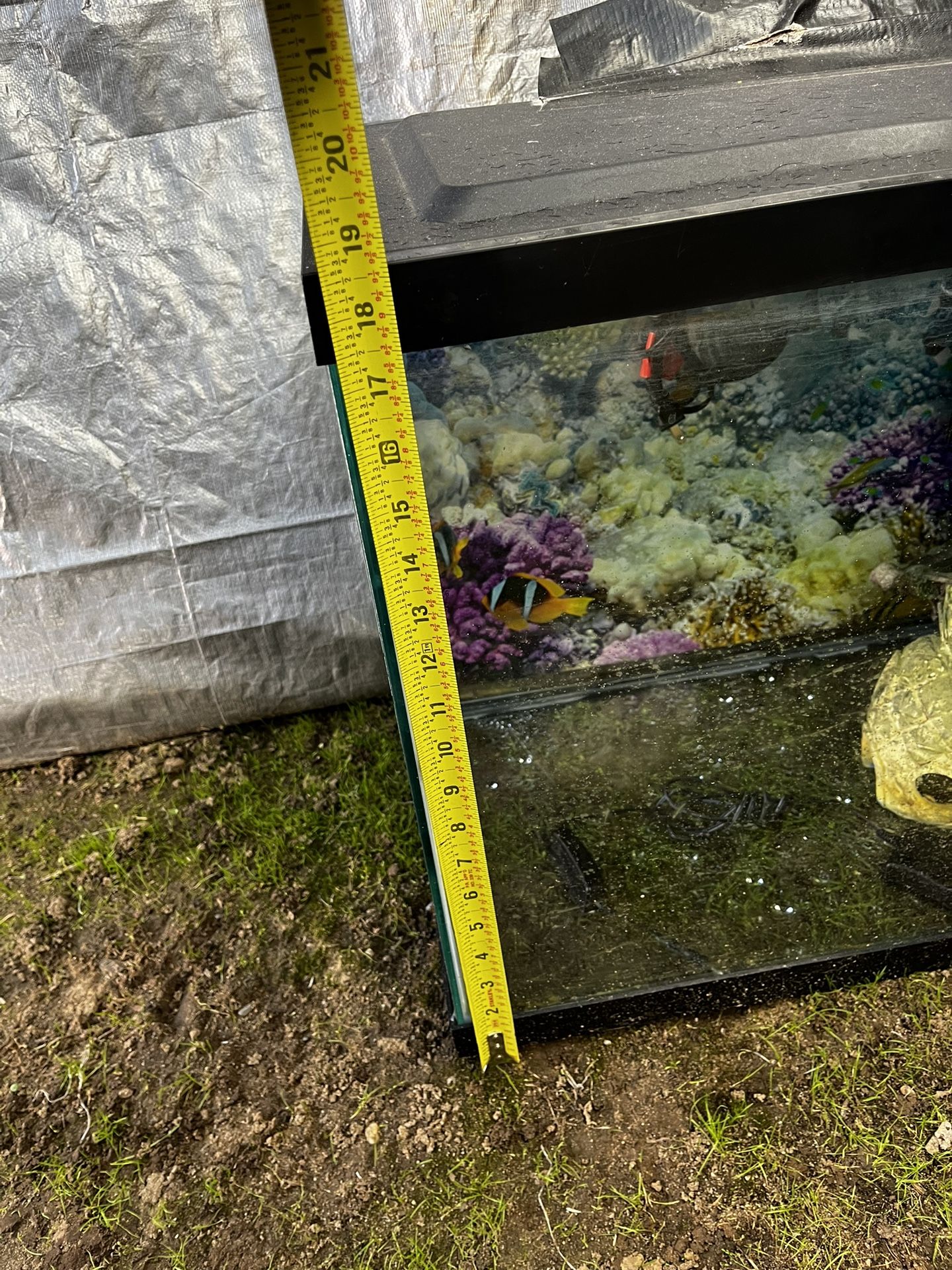 Fish Tank
