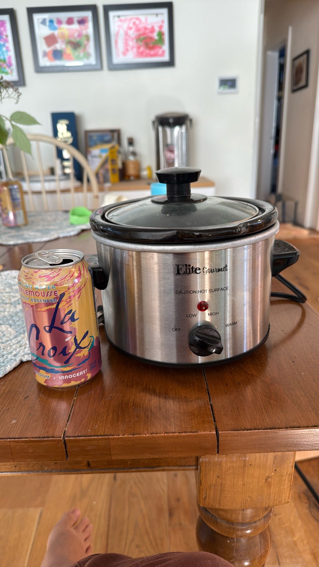 Tiny Slow Cooker