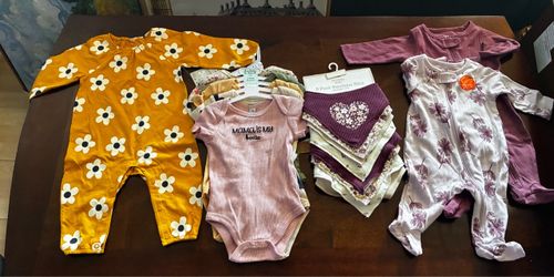 3-6 Months Baby Girl Clothing Bundle with Bibs