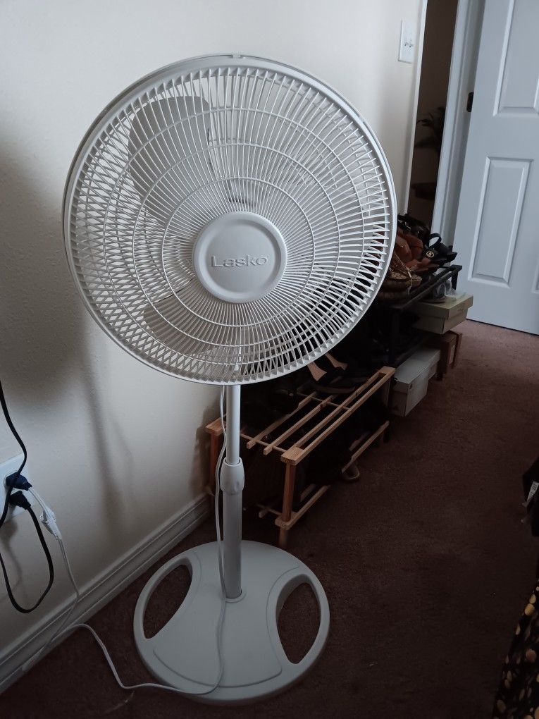Fan