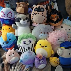 Squishmellow Lot 17 Of Them For 30.00