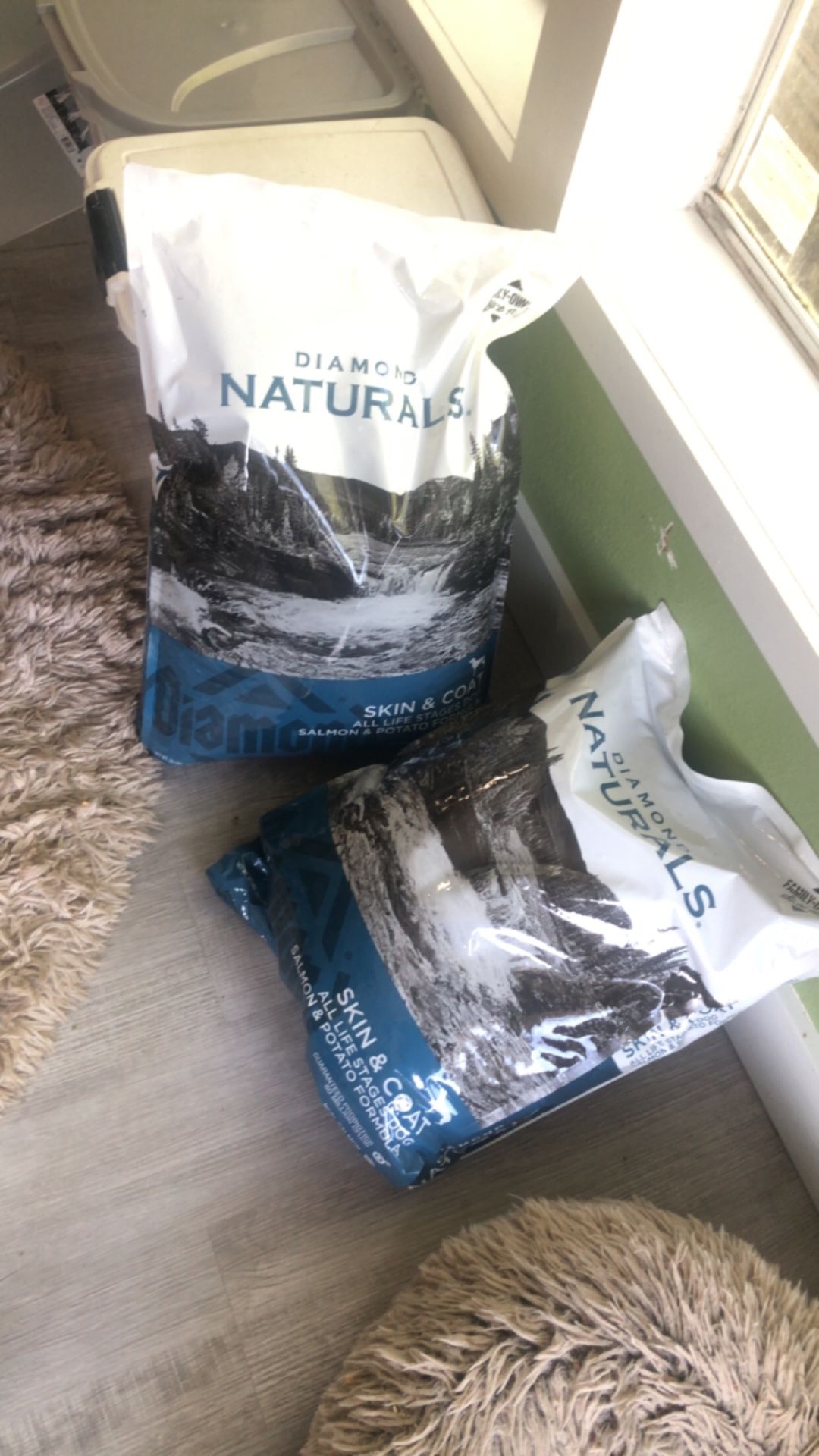 Dog Food