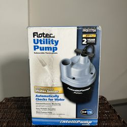 Utility Pump