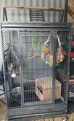 Very Large Bird Cage