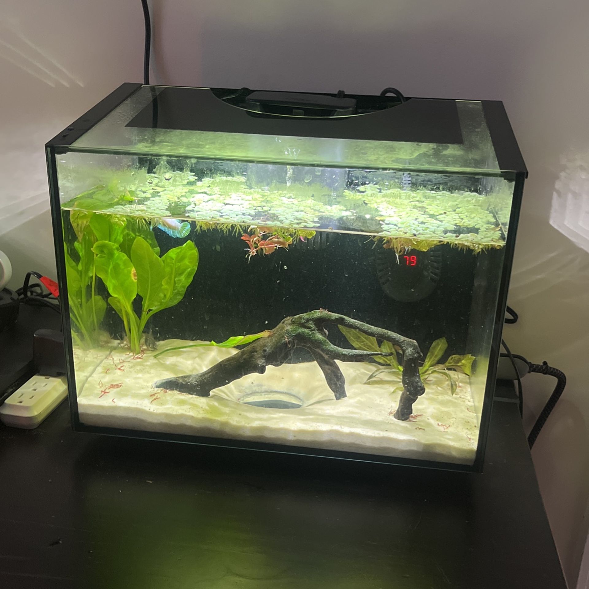 6 Gallon Fish Tank for Sale in Hialeah Gardens, FL - OfferUp