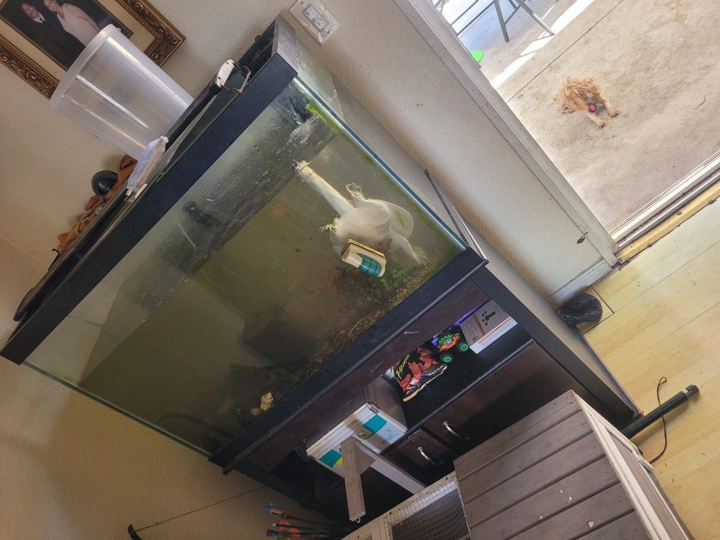 Fish Tank Glass With Stand