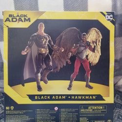 DC Comics Black Adam and Hawkman Set