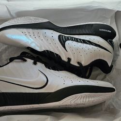 Nike LeBron XXI Conchiolin Men's Size 10.5