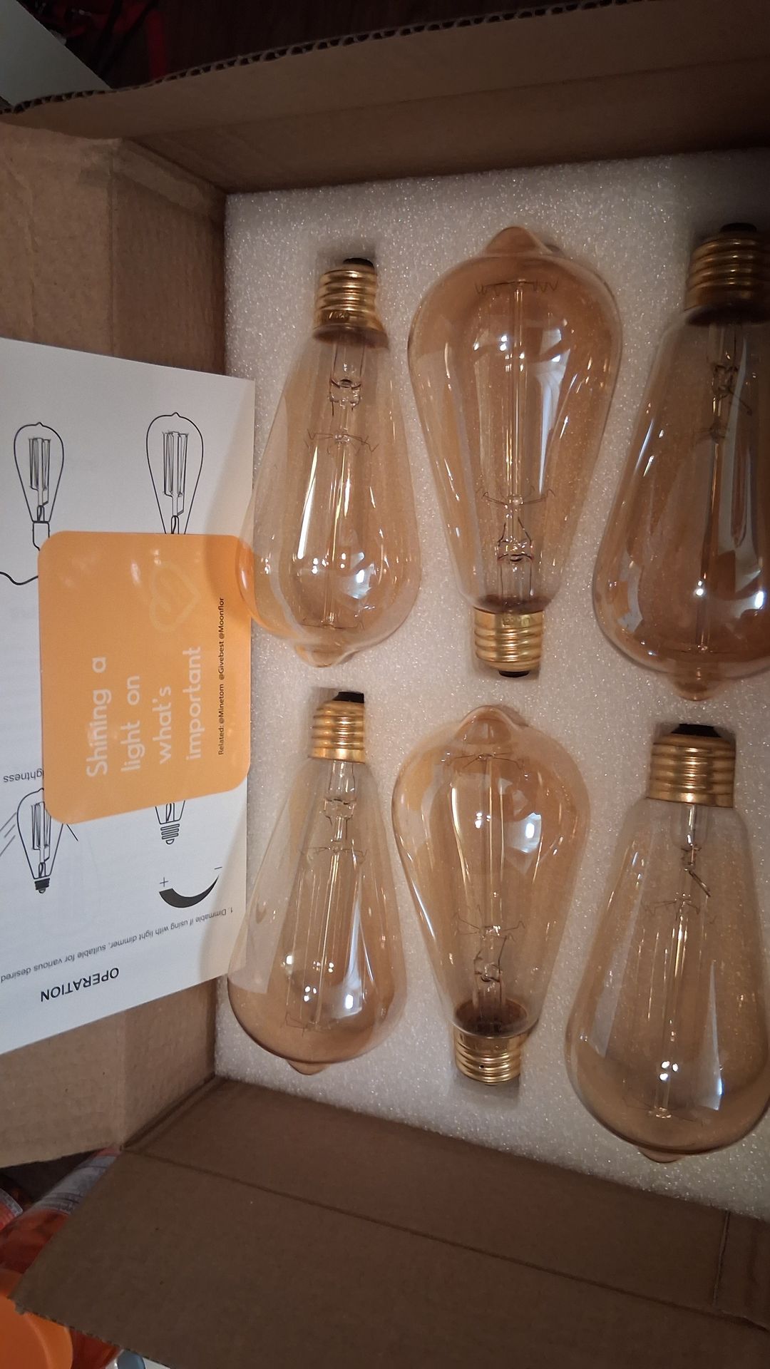 Incandescent Vintage Bulb (New)