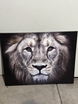 Nice Pictures For Sale 