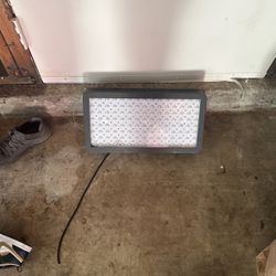 Grow Light