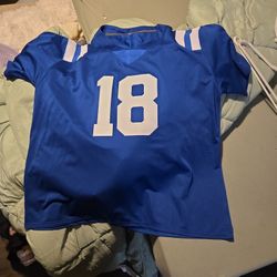 2XL Men's Jersey Brand New