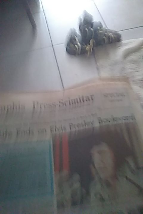 Elvis death paper from 1977