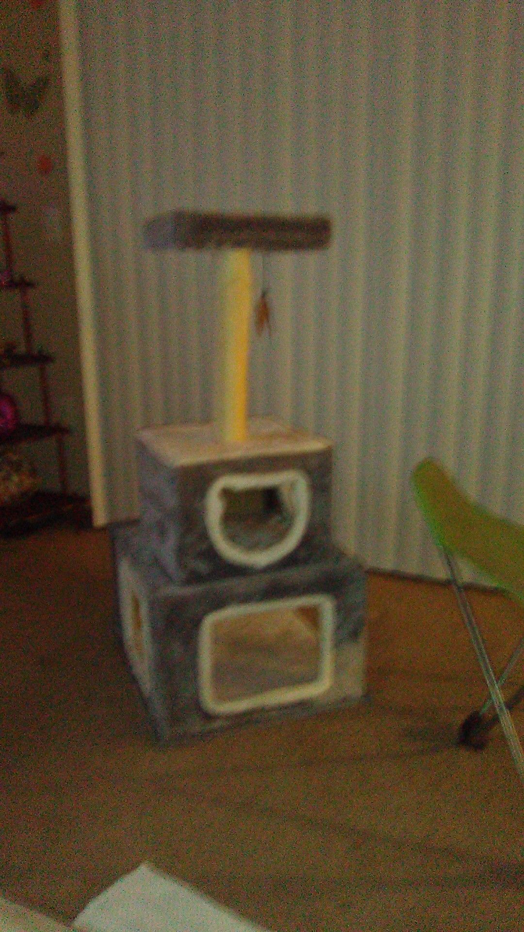 Cat tree brand new
