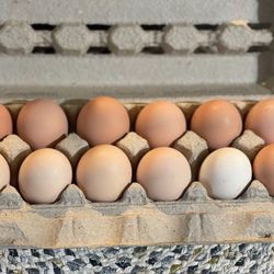 Farm Fresh Eggs 🍳  