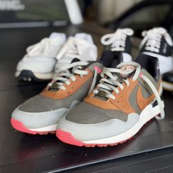Nike Pegasus Golf Shoes