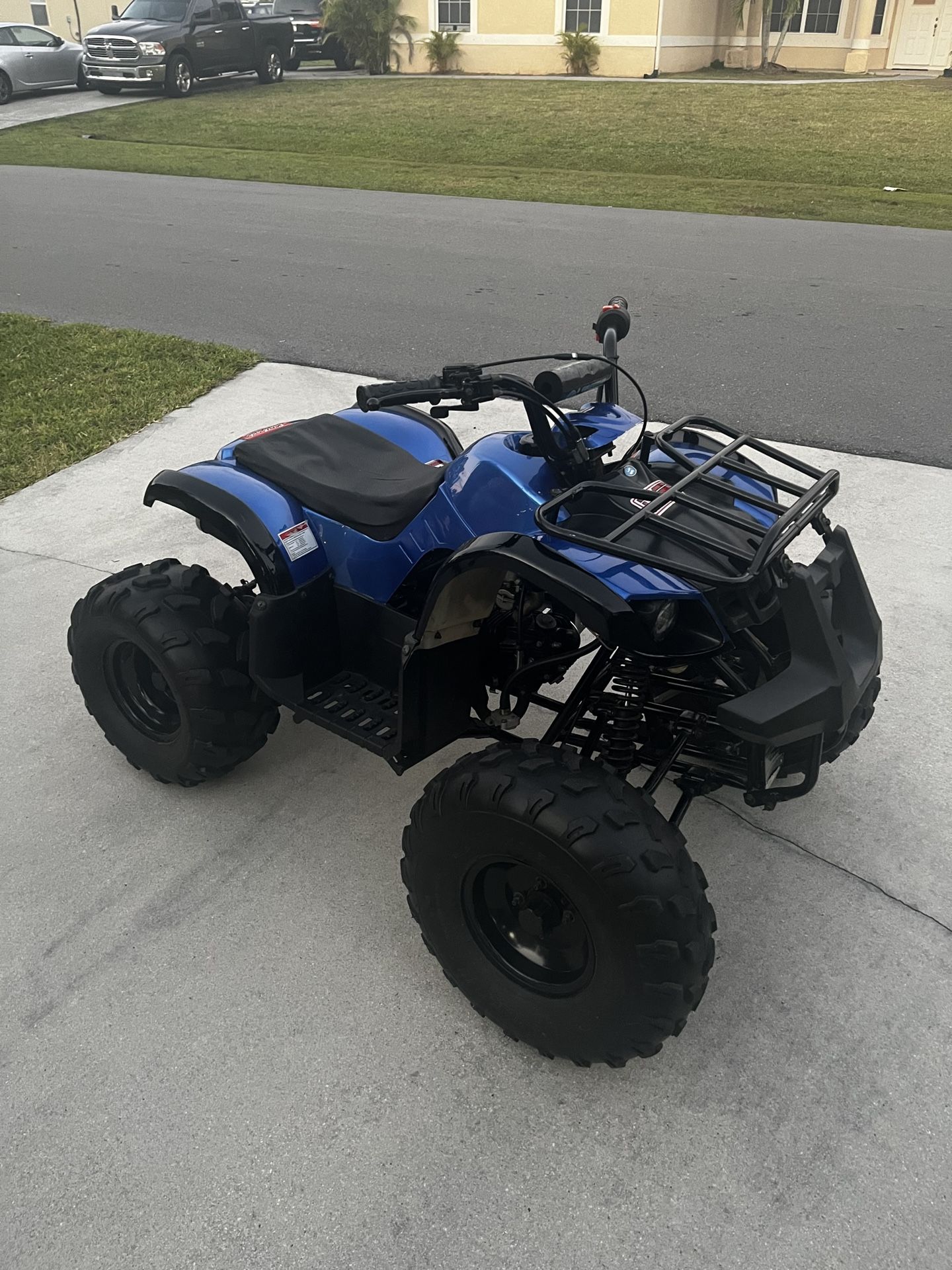 2014 TaoTao ATA125D