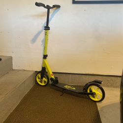 Adult Kick Scooter $20