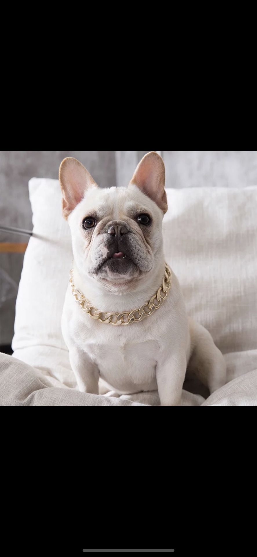 Frenchy Chain