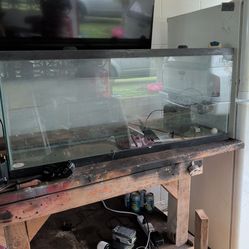 55gal fishtank and filter