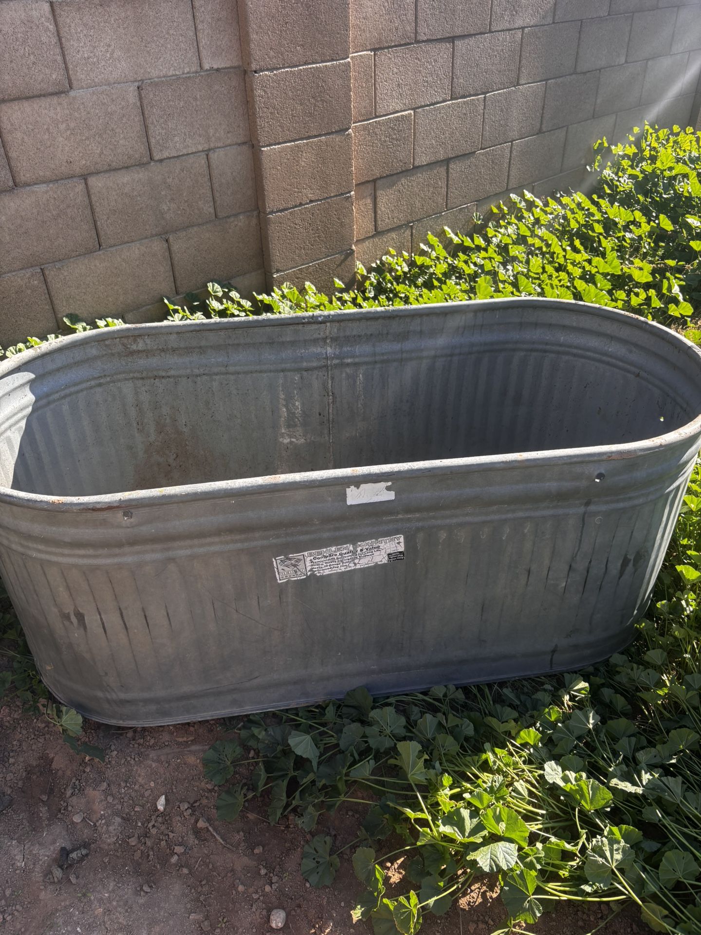 π₯ Heavy-Duty Galvanized Tank β $50 π₯