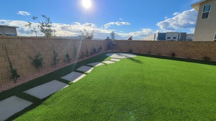 Artificial Grass