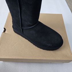 UGG W CLASSIC SHORT II